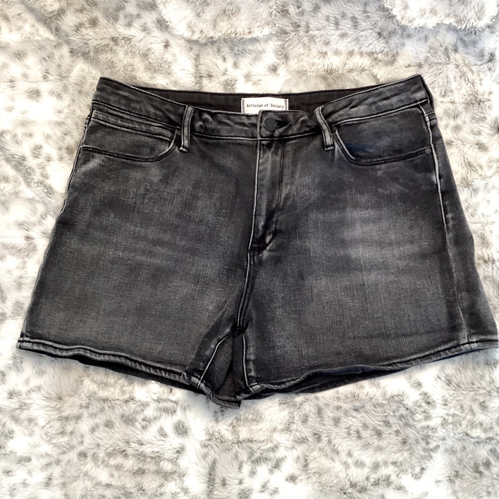 Articles of Society Ziggy Denim Shorts